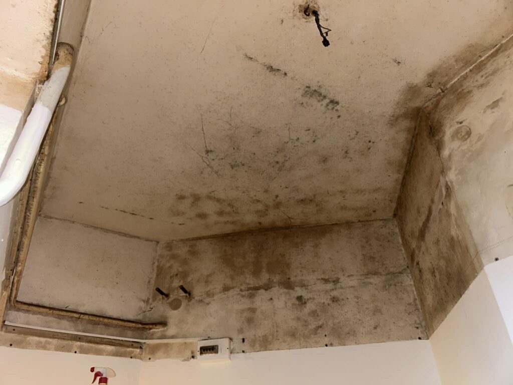 Plíseň pod původním podhledem