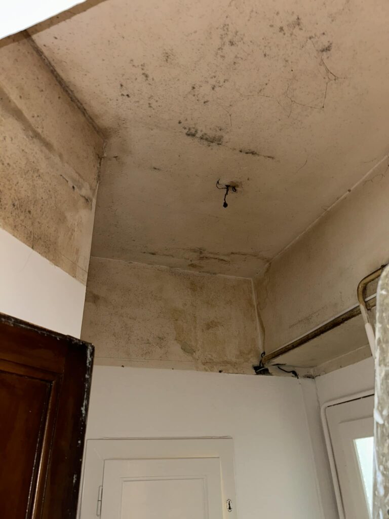 Plíseň pod původním podhledem