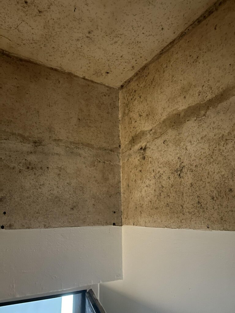 Plíseň pod původním podhledem